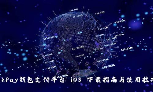 OkPay钱包支付平台 iOS 下载指南与使用技巧