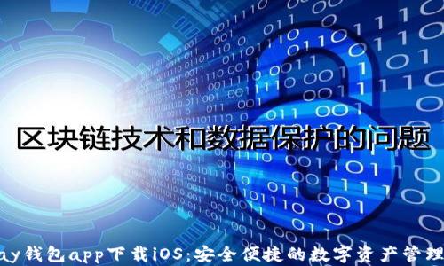 
CGPay钱包app下载iOS：安全便捷的数字资产管理工具