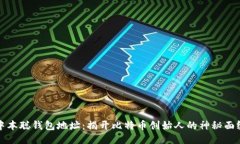 中本聪钱包地址：揭开比