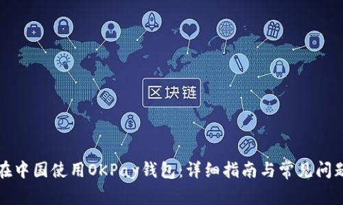 如何在中国使用OKPay钱包：详细指南与常见问题解答