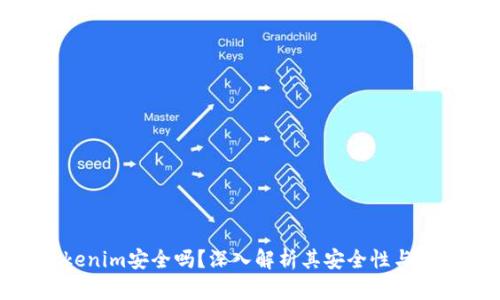 Tokenim安全吗？深入解析其安全性与风险