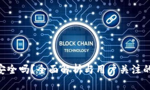 Tokenim安全吗？全面解析与用户关注的安全隐患