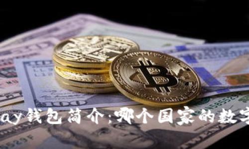 ### OKPay钱包简介：哪个国家的数字支付钱包？