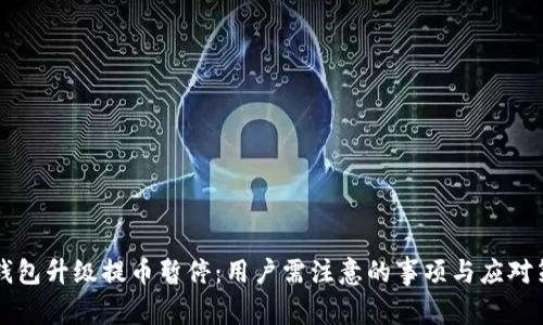 OK钱包升级提币暂停：用户需注意的事项与应对策略