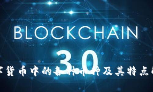 数字货币中的各种币种及其特点解析