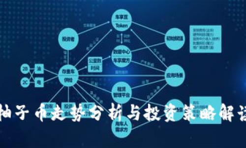 柚子币走势分析与投资策略解读