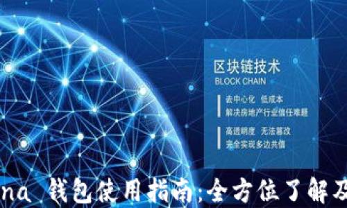 
OKEx China 钱包使用指南：全方位了解及安全管理